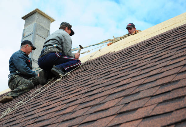 Best Best Roofing Contractors  in Roosevelt, NJ